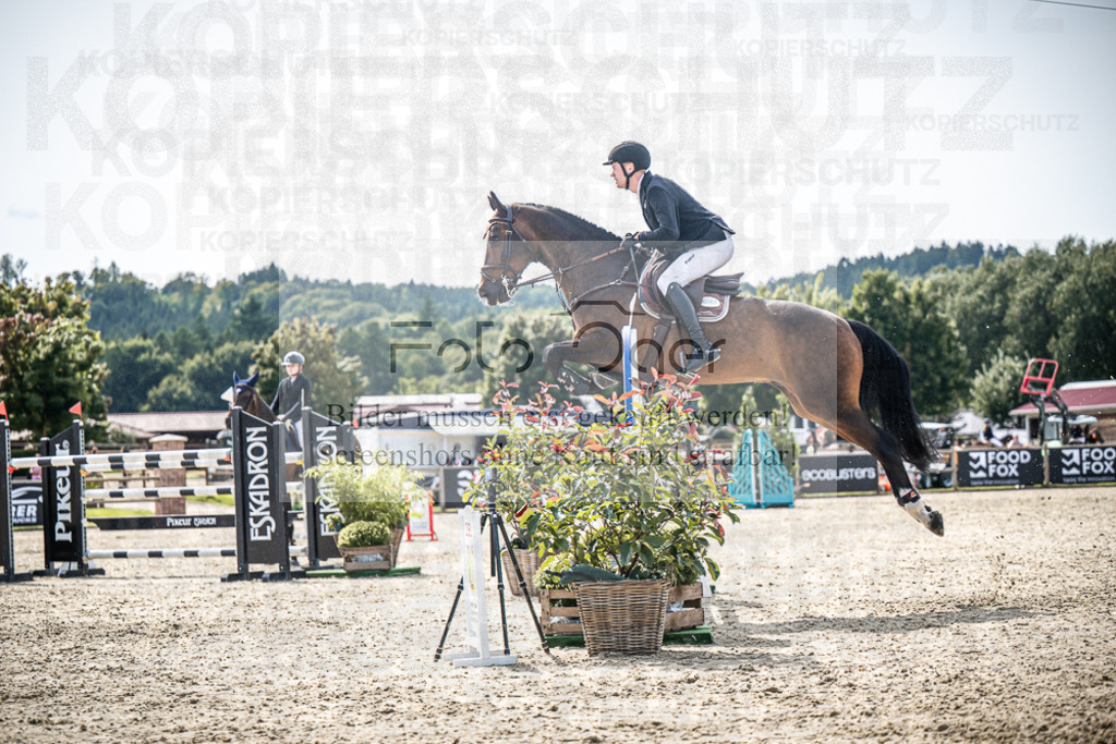 DOS_8219 | Entdecke hochwertige Reitturnierfotos von Foto Oger. Professionell, emotional und authentisch – jetzt Lieblingsmomente im Shop bestellen.Deutschlandweite Turnierfotografie. - Realisiert mit Pictrs.com