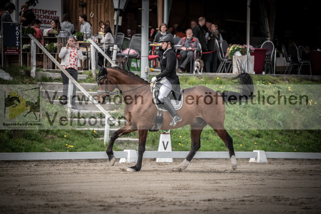 DSC_2206 | equestrian-live-com