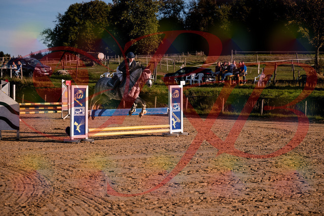 2026_10_03_Siefer-Hof_171433_Z81_11998338 | Professionelle Reitsport-, Turnier- und Eventfotografie von Robert Broda. Galerien mit ausgewählten und bearbeiteten Bildern direkt online ansehen und bestellen.