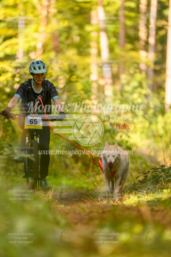 MompixPhotography_Yens2025_B3-1 | PayLife