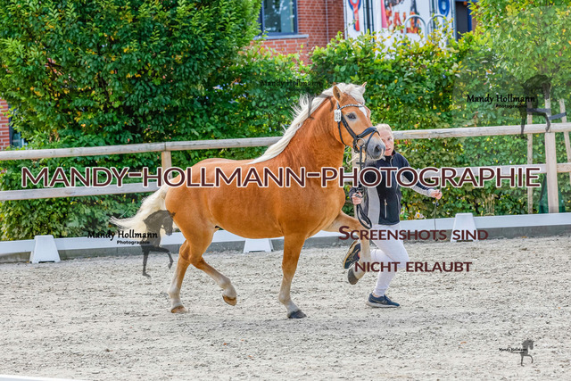 GK (554 von 759) | mandyhollmannphotographie