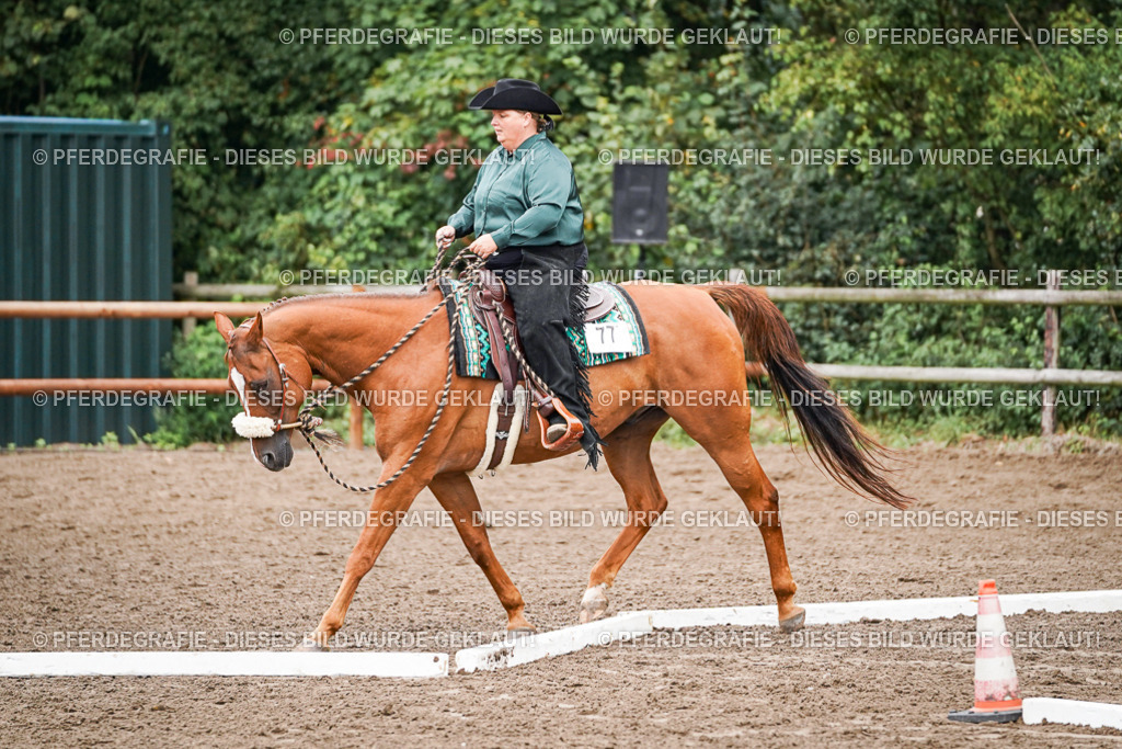 DSC02843 | Pferdegrafie