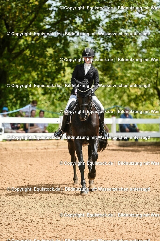 20230716_01_Dressurprüfung Kl.M_0023 | equistock