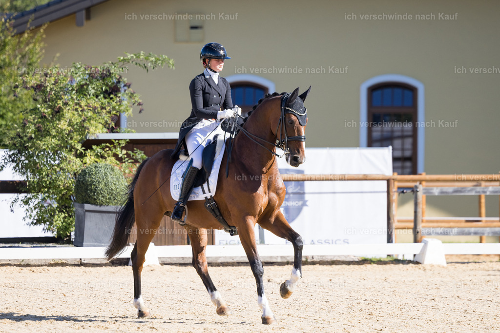 FHC2026_P07_80_17400 | working equitationturnier fotograf videograf stoibphotography marixx film working equitation deutschland reitsport turnierfotografie eventfotografie equestrian events