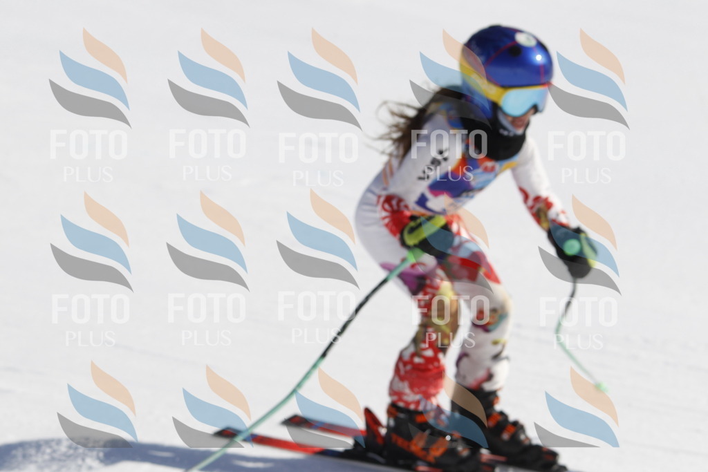 _U3G9512 | holidayphoto