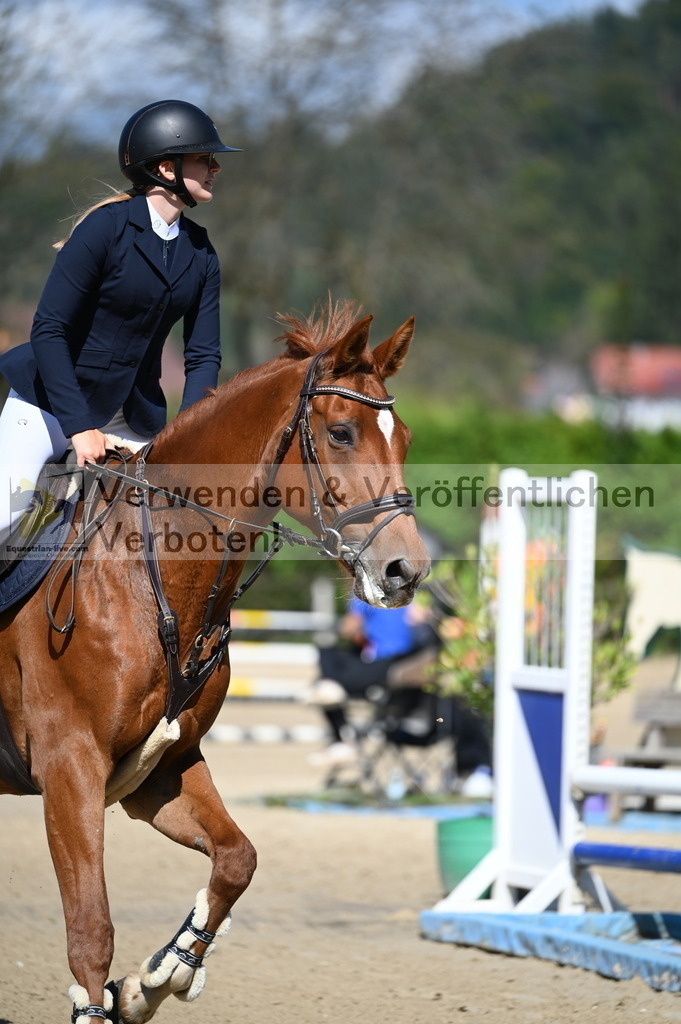 DSC_8271 | equestrian-live-com