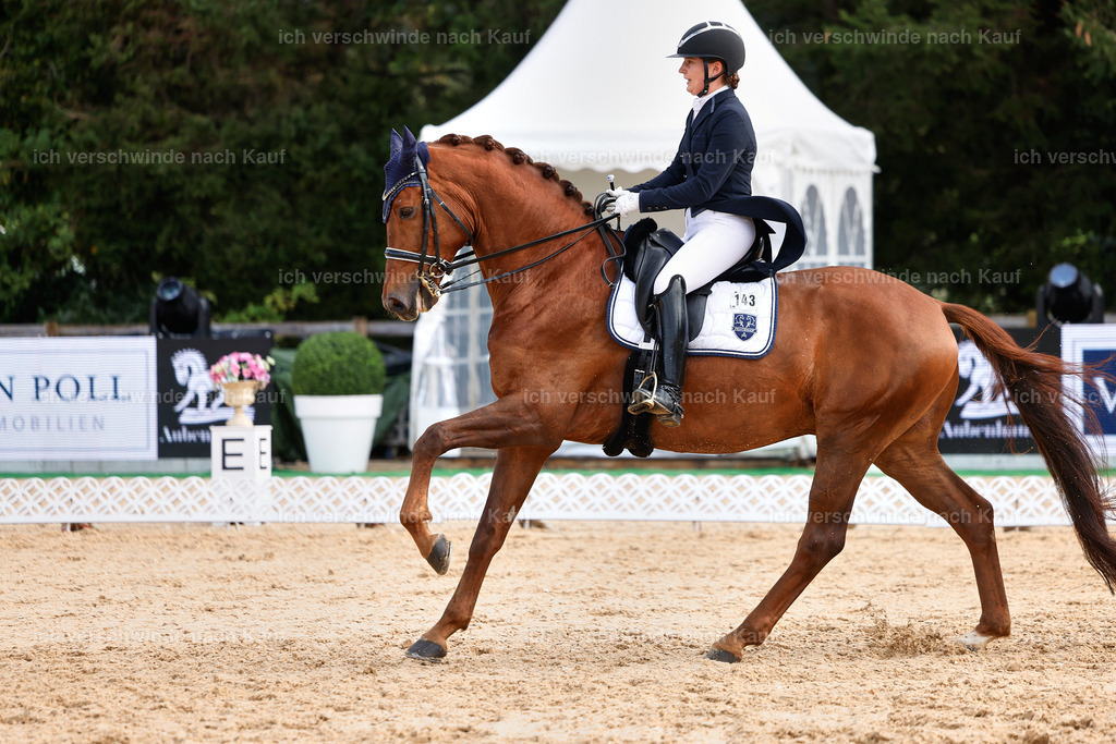 6-143-AMATUER-DRESSUR S_  -StoibPH-3437 | working equitationturnier fotograf videograf stoibphotography marixx film working equitation deutschland reitsport turnierfotografie eventfotografie equestrian events