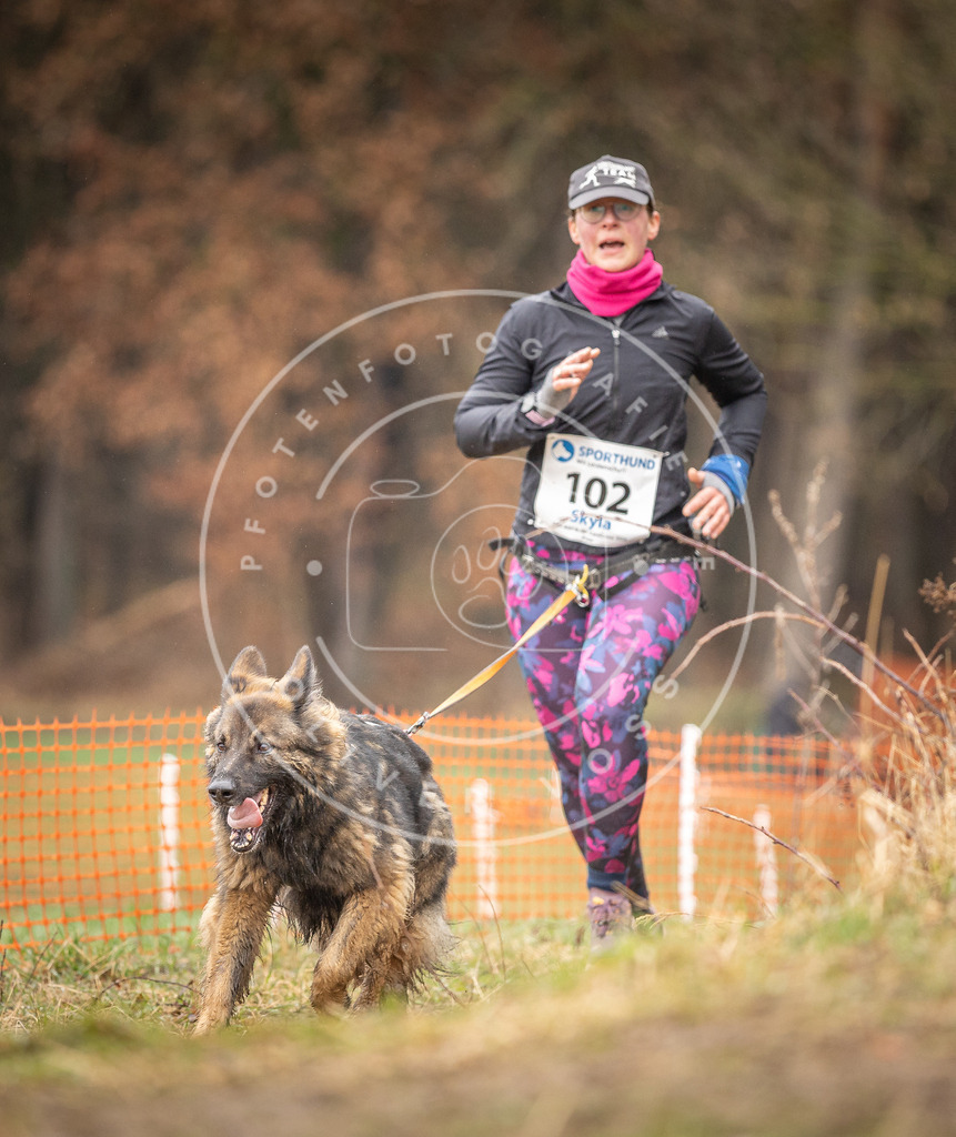 DV3A0570 | Hundefotografie, Tierfotograf, Pfotenfotografie, Fotoshooting Hund, Hunde Portrait, Hundesport, Hundeportraits, Heideshooting, Hunde, Sportfotograf, Hundefotograf, Turnierhundsport, THS,  - Realisiert mit Pictrs.com