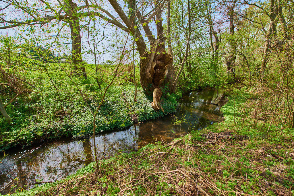 Am Elsterfloßgraben zwischen Lützen und Meuchen 01 | Bedeutsame Landschaften Deutschlands - Realisiert mit Pictrs.com