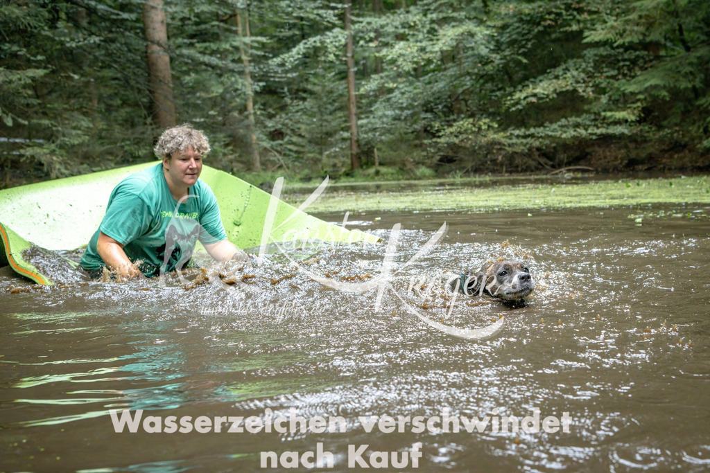 1515_ZZ90039-Bearbeitet | kk-dogfotos