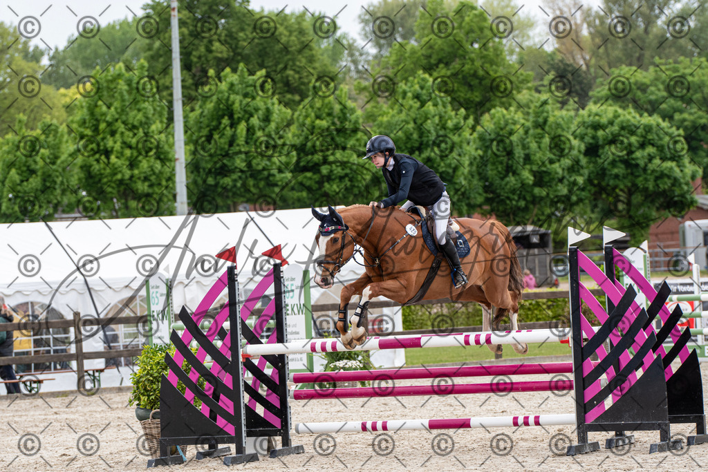 KPT_8447 | andre_photographic