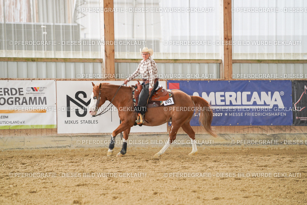 DSC04109 | Pferdegrafie