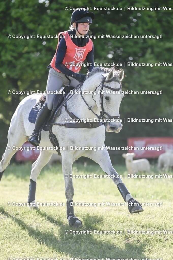 20250517_CCI2_Gelände_0503 | Foto: Thomas Hartig