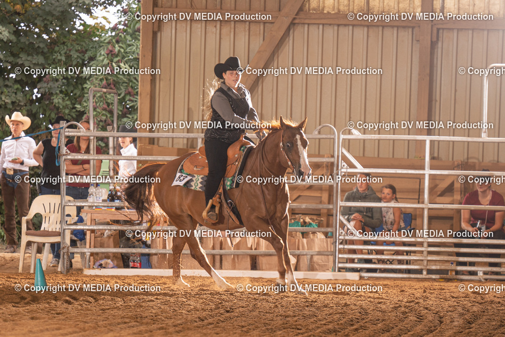 NID01210 | dv-media-shop - Realisiert mit Pictrs.com