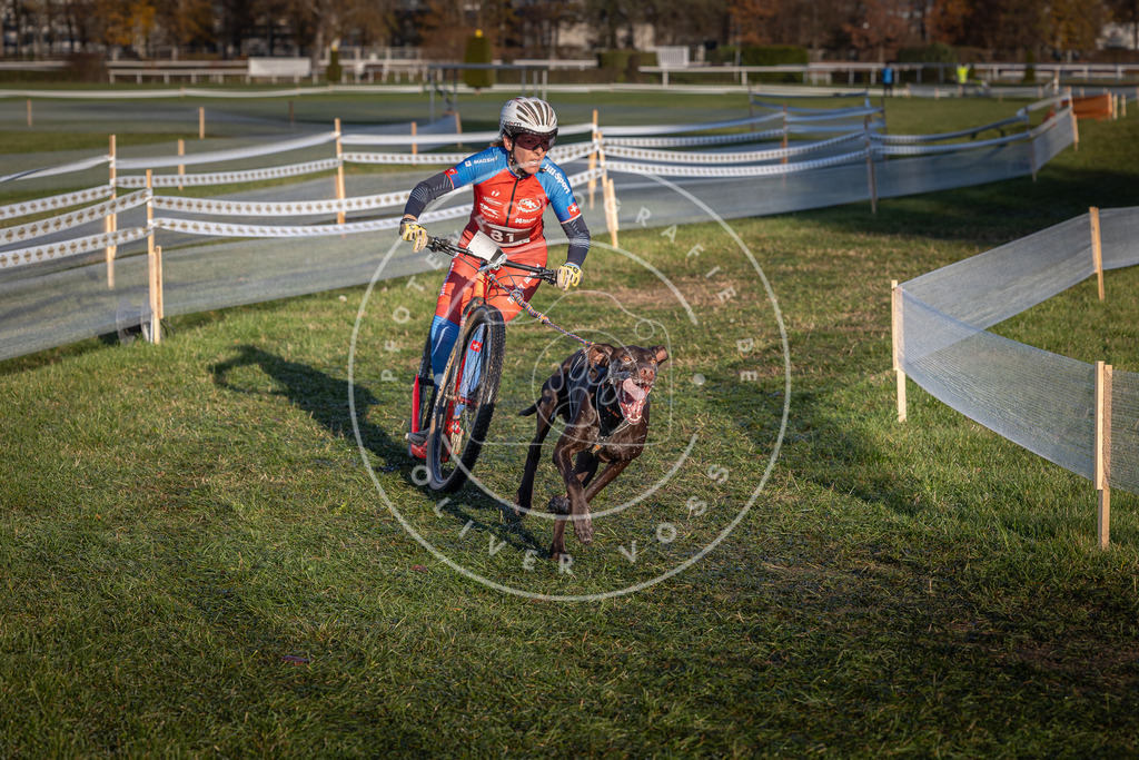 CaniXpix_0L8A3703 | Hundefotografie, Tierfotograf, Pfotenfotografie, Fotoshooting Hund, Hunde Portrait, Hundesport, Hundeportraits, Heideshooting, Hunde, Sportfotograf, Hundefotograf, Turnierhundsport, THS,  - Realisiert mit Pictrs.com