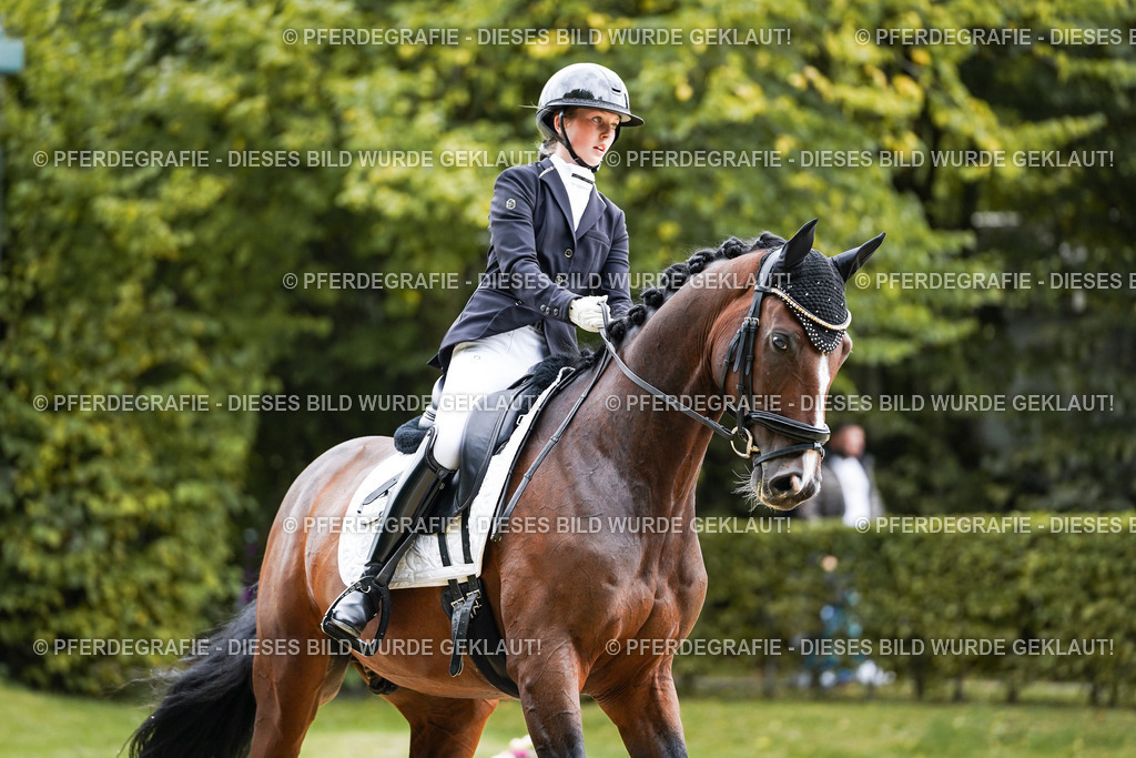 DSC07862 | Pferdegrafie