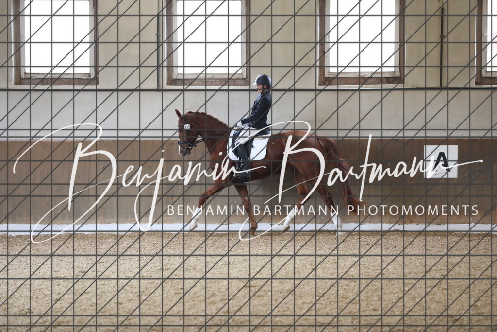 AZ2A0930 | Benjamin Bartmann Photomoments