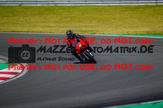 MaZZes_FotoMatrix_240725_6007705_6658 | GRUEN