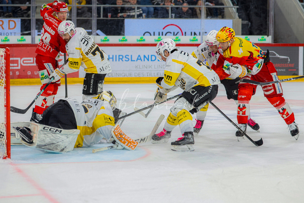 EHCB vs HCA 20260127_wb-9513 | Sportbilder, Sportfotograf, Hochzeits- und Eventfotografin, Flugshows, Portraits und Tiershooting, Aviation, Downhill, Nationalleague, Swissleague, International