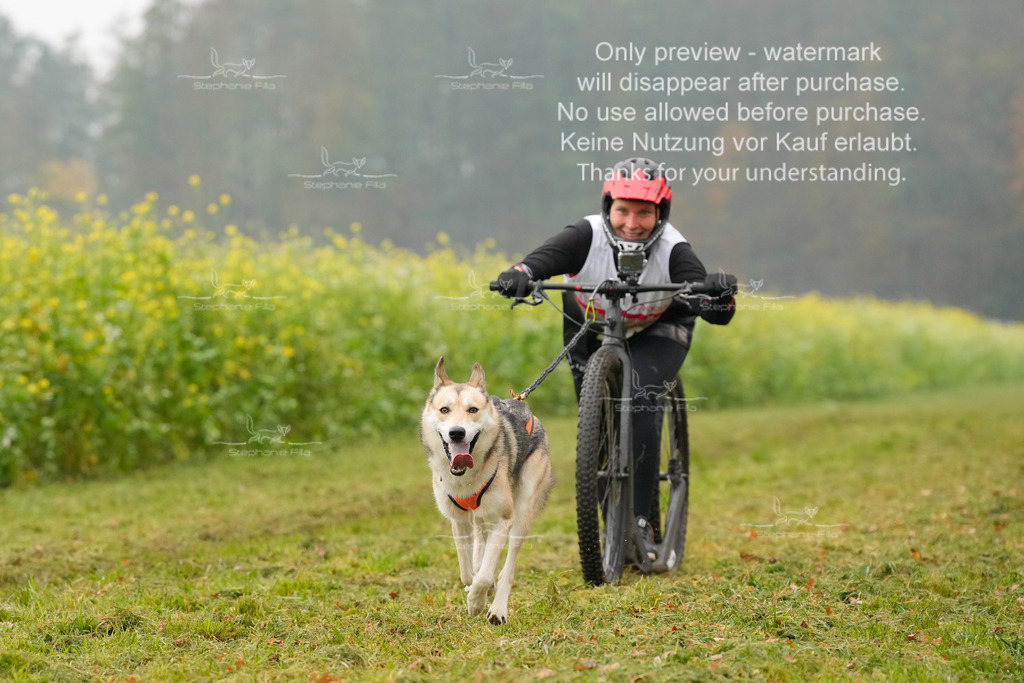 Visbeck_Sa_Scooter_Hc-77 | stephaniefillaphotographie - Realisiert mit Pictrs.com