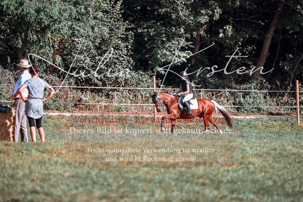 DSC_0944 | Pferde- und Turnierfotografie in Westsachsen. Pferdeportraits, Auftragszeichnungen und intuitive Kunst.