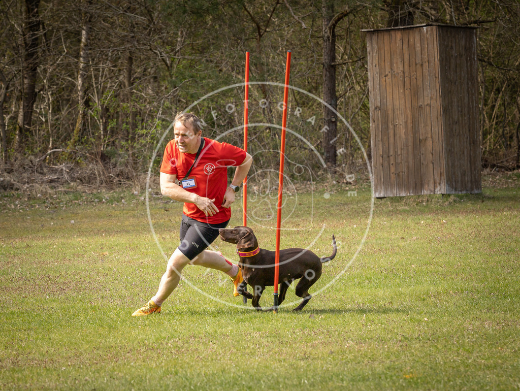 Pfotenfotografie_DV3A7107 | Hundefotografie, Tierfotograf, Pfotenfotografie, Fotoshooting Hund, Hunde Portrait, Hundesport, Hundeportraits, Heideshooting, Hunde, Sportfotograf, Hundefotograf, Turnierhundsport, THS,  - Realisiert mit Pictrs.com