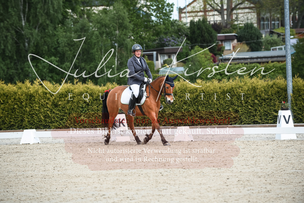 20230518_JK-Röhrsdorf-12-0051 | Pferde- und Turnierfotografie in Westsachsen. Pferdeportraits, Auftragszeichnungen und intuitive Kunst.