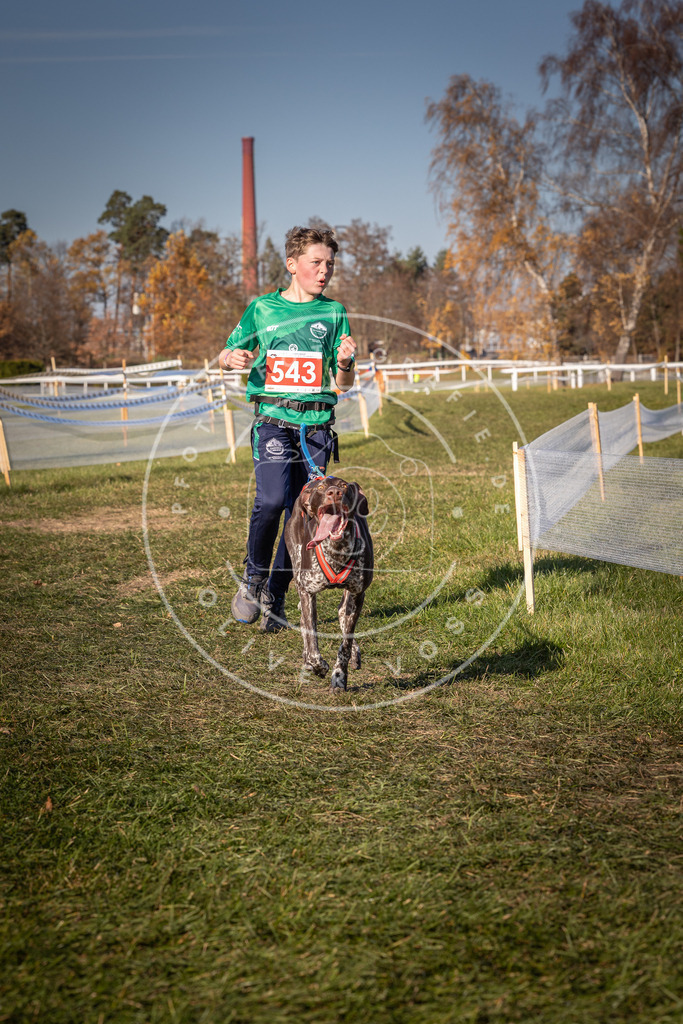 CaniXpix_0L8A7571 | Hundefotografie, Tierfotograf, Pfotenfotografie, Fotoshooting Hund, Hunde Portrait, Hundesport, Hundeportraits, Heideshooting, Hunde, Sportfotograf, Hundefotograf, Turnierhundsport, THS,  - Realisiert mit Pictrs.com