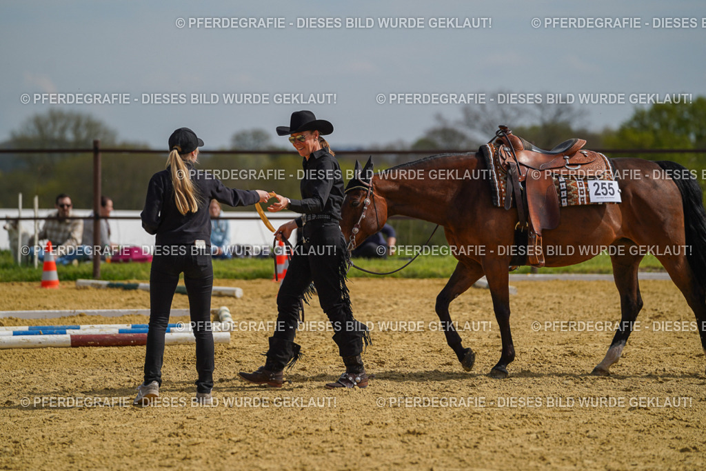 DSC04216 | Pferdegrafie