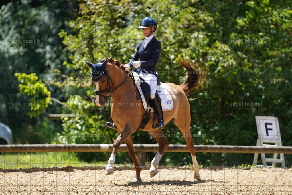 20240705-FAH04009 | Turnierbilder von Grafing, Reitsportbilder, Turnierfotos, Turnierfotografen Bayern, Pferdefotograf, Fotoagentur Herrmann