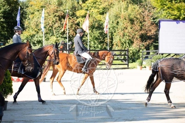 2B4A0700 | pixelfaenger - Realisiert mit Pictrs.com