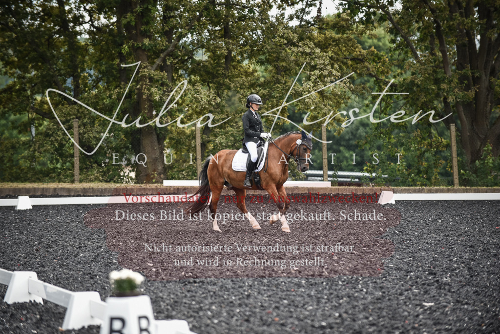 DSC_4503 | Pferde- und Turnierfotografie in Westsachsen. Pferdeportraits, Auftragszeichnungen und intuitive Kunst.