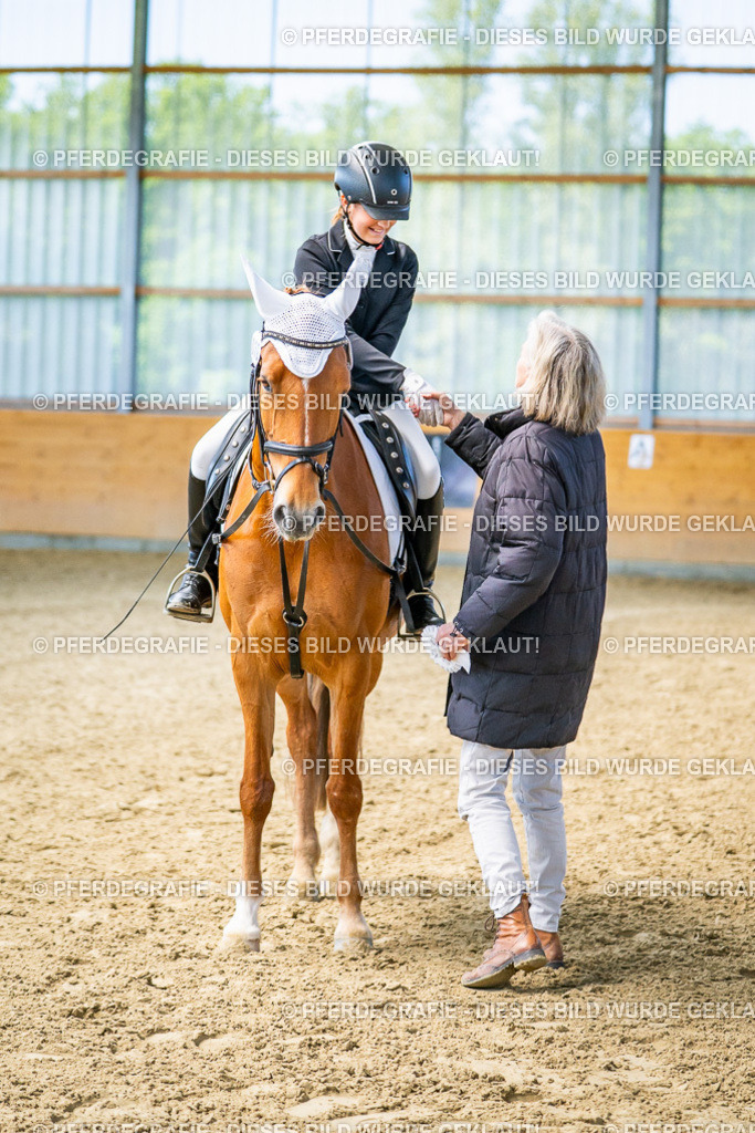 DSC03075 | Pferdegrafie