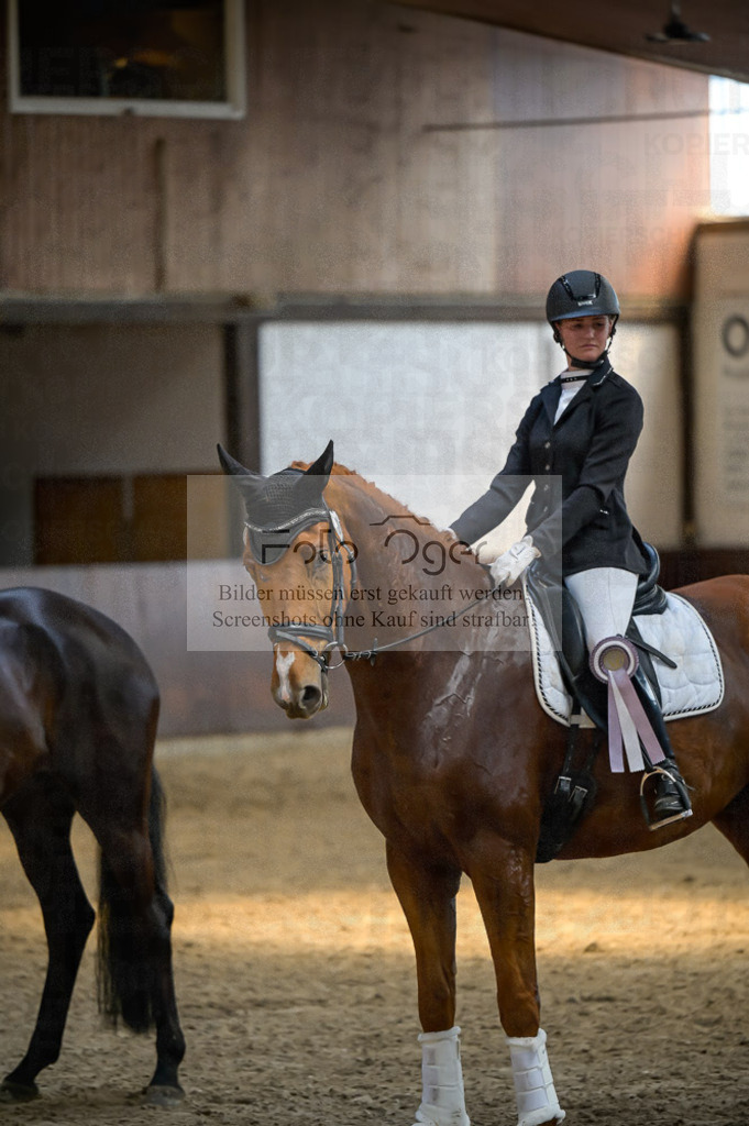 Reitturnier Voxtrup | Entdecke hochwertige Reitturnierfotos von Foto Oger. Professionell, emotional und authentisch – jetzt Lieblingsmomente im Shop bestellen.Deutschlandweite Turnierfotografie. - Realisiert mit Pictrs.com