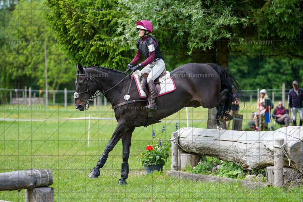 20240518-FAH03830 | Turnierbilder von Niederseon, Turnierfotografen Bayern, Fotoagentur Herrmann, Geländebilder, Reitsportfotografie