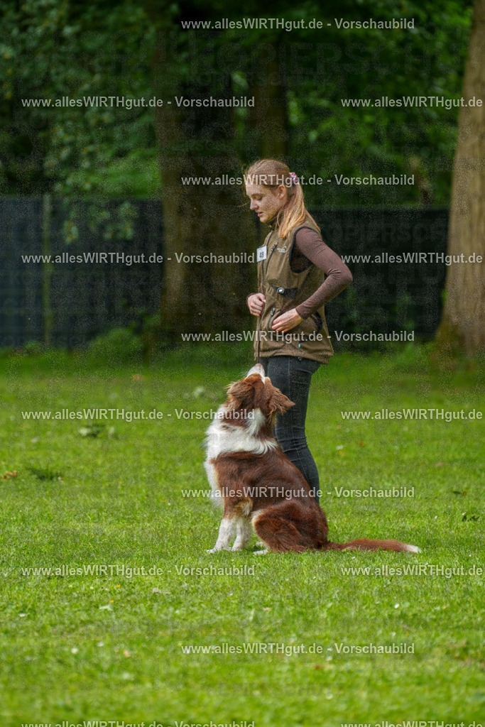 @allesWIRTHgut_Tierfotografie - www.allesWIRTHgut.de - 7R500506 | Professionelle Tierfotografie in Mönchengladbach von Daniel Wirth (allesWIRTHgut). Liebevolle & natürliche Bilder von Hunden & Katzen für unvergessliche Erinnerungen.