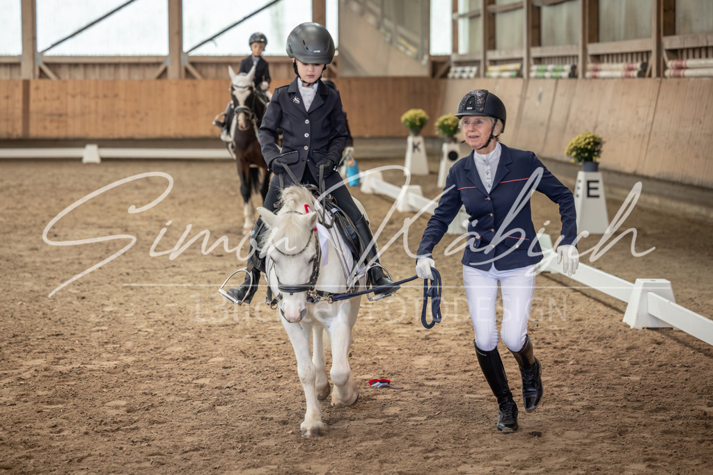 20251011-_3LI9118 | Tierfotografie Pferde, Hunde, Katzen, Haustiere.
Turnierfotografie Reitturniere, Reiten, Springreiten, Dressur in Hanau, dem Main-Kinzig-Kreis und dem Rhein-Main- Gebiet um Frankfurt