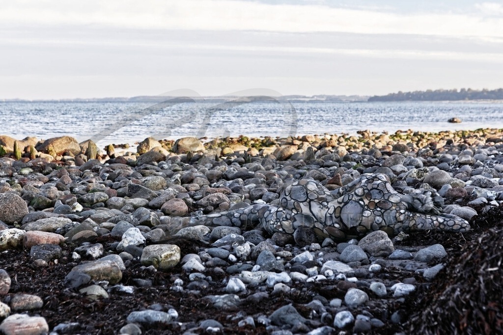 NatureArt-OSTSEESTEINE_0165c | Runde Steine an der Bucht | #003 | Modell: Tina | Foto: Mike Koppold - Realisiert mit Pictrs.com