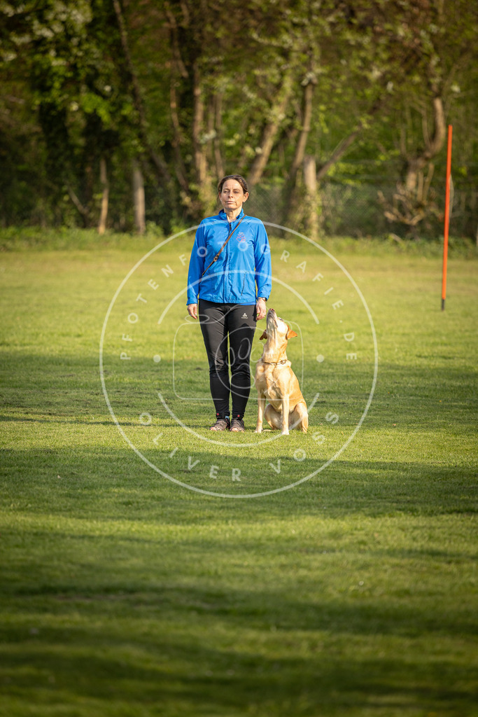 Pfotenfotografie_DV3A4780 | Hundefotografie, Tierfotograf, Pfotenfotografie, Fotoshooting Hund, Hunde Portrait, Hundesport, Hundeportraits, Heideshooting, Hunde, Sportfotograf, Hundefotograf, Turnierhundsport, THS,  - Realisiert mit Pictrs.com
