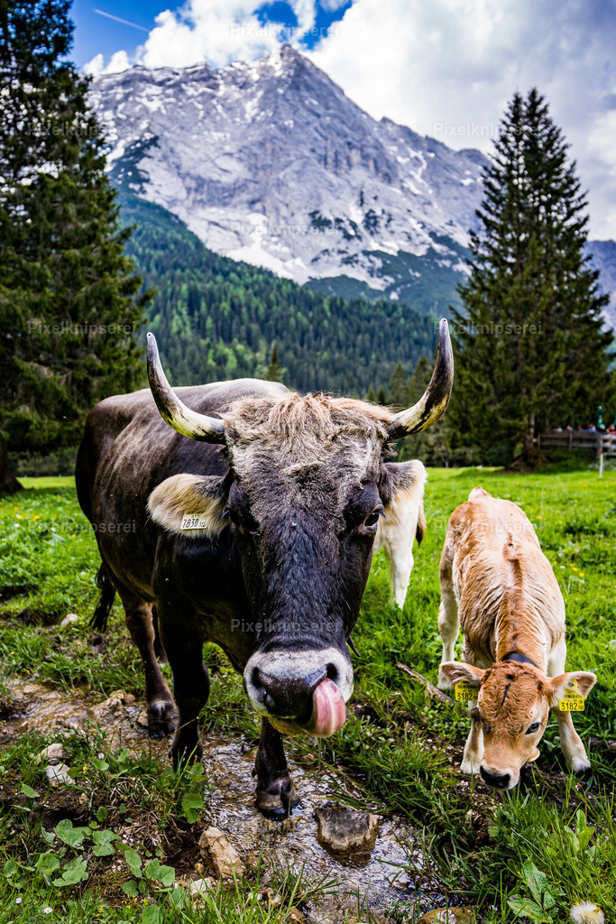 Gaistal | Fotograf Tirol Imst Pixelknipserei