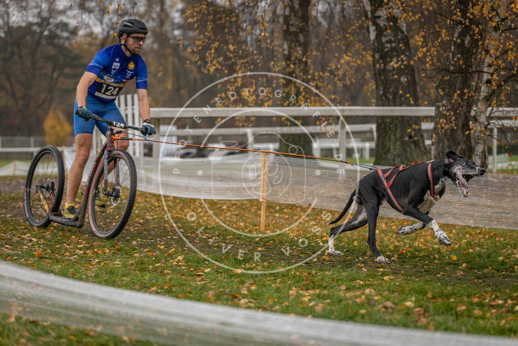 CaniXpix_DV3A7568 | Hundefotografie, Tierfotograf, Pfotenfotografie, Fotoshooting Hund, Hunde Portrait, Hundesport, Hundeportraits, Heideshooting, Hunde, Sportfotograf, Hundefotograf, Turnierhundsport, THS,  - Realisiert mit Pictrs.com