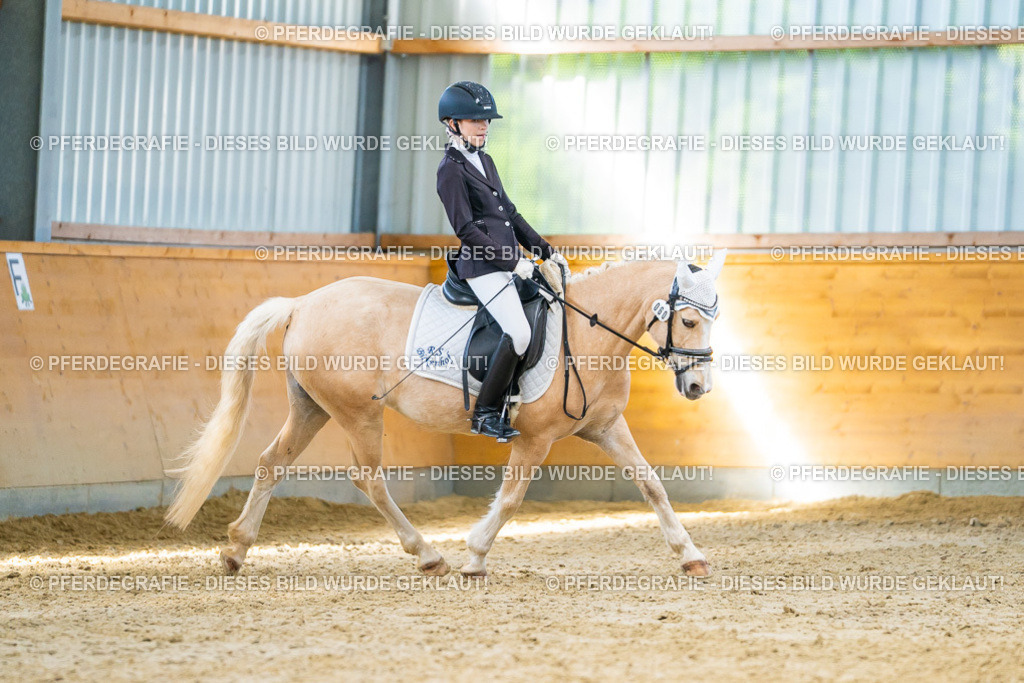 DSC07134 | Pferdegrafie