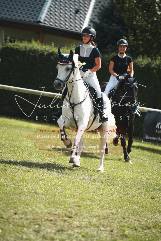 DSC_6843 | Pferde- und Turnierfotografie in Westsachsen. Pferdeportraits, Auftragszeichnungen und intuitive Kunst.