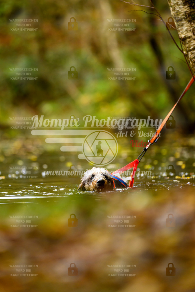 MompixPhotography_20TSB_E1_Run-170 | PayLife