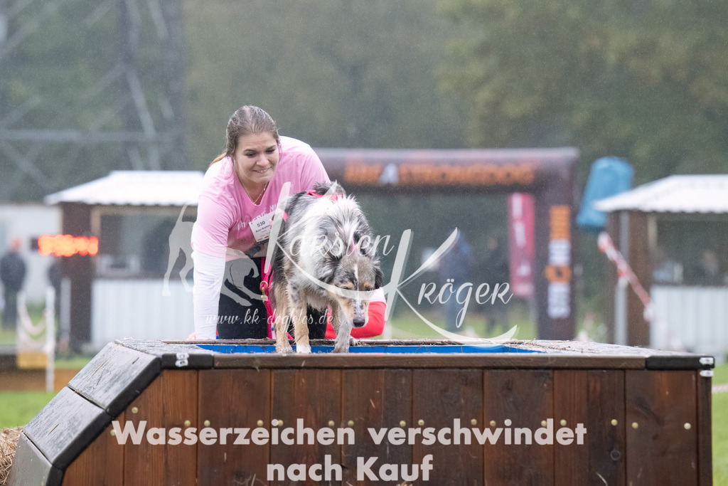 0958-_ZZ90085-Bearbeitet | kk-dogfotos