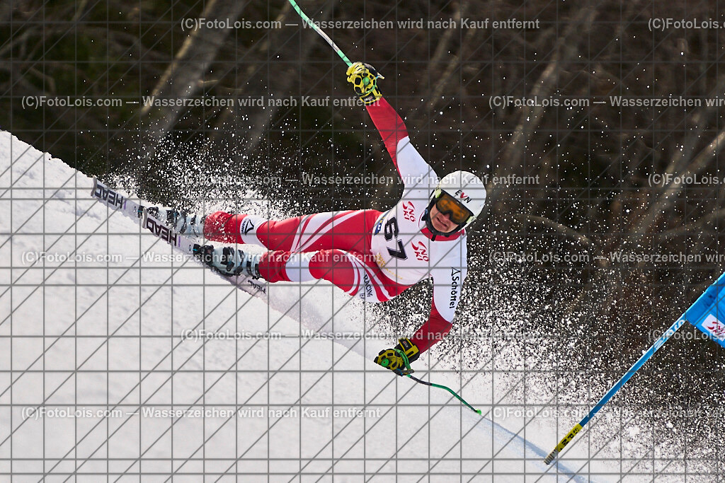 ALP8964_Herrn-FIS-GS-II_Lackenhof-WY_SCHACHINGER Lorenz | Internationaler FIS GiantSlalom der Herrn auf der Distelpiste in Lackenhof am Di 11. März 2025.  Österreich, LSV-NÖ, Sportunion Waidhofen/Ybbs (2035).