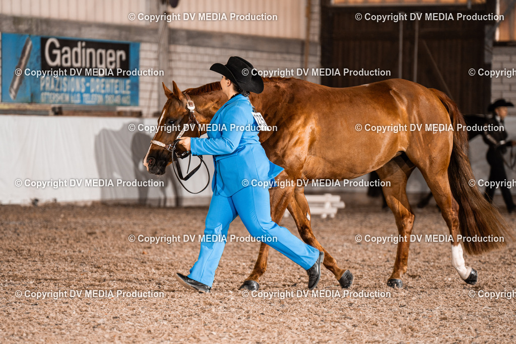 ZH200148 | dv-media-shop - Realisiert mit Pictrs.com