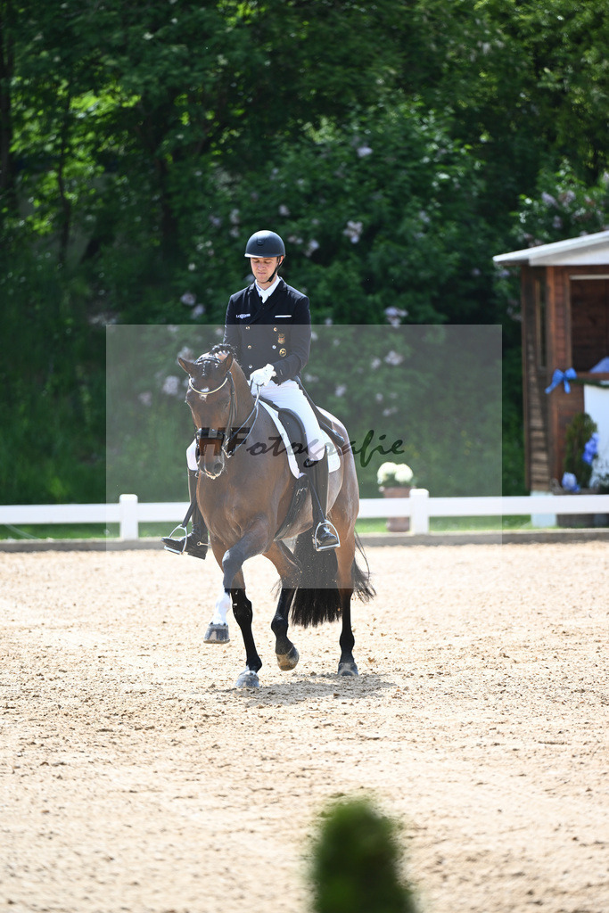 Rothenberger_Fendi_12244314 | hf-fotografie - Realisiert mit Pictrs.com