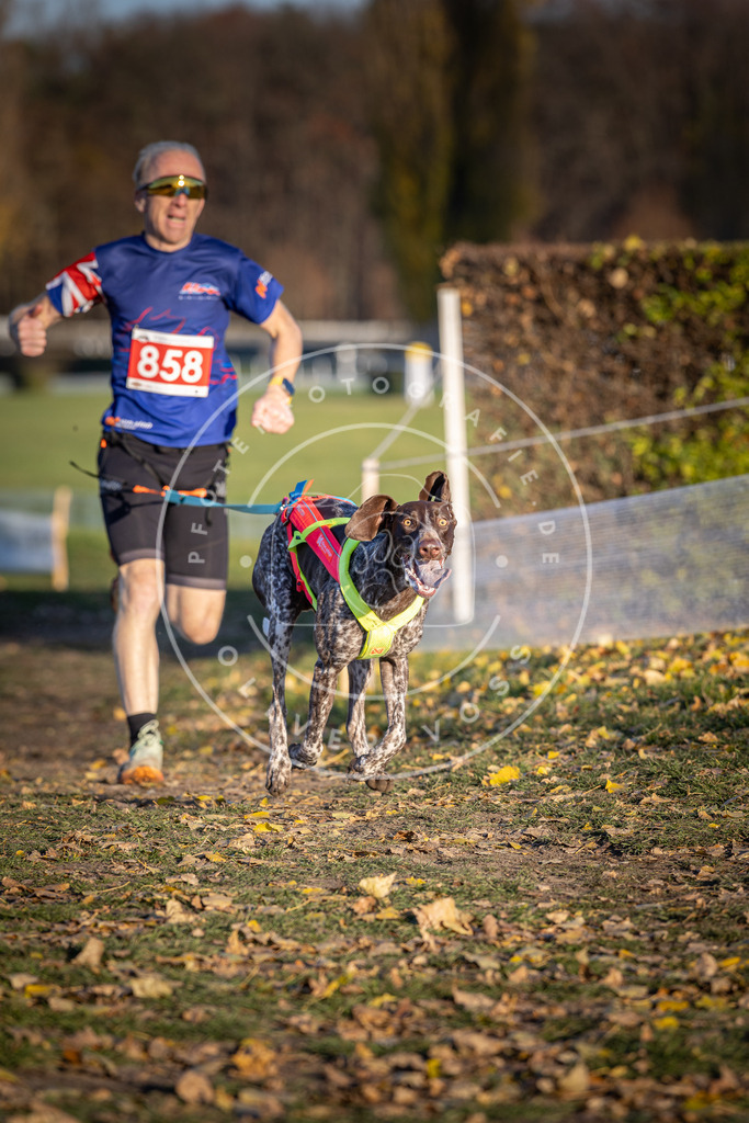 CaniXpix_DV3A4014 | Hundefotografie, Tierfotograf, Pfotenfotografie, Fotoshooting Hund, Hunde Portrait, Hundesport, Hundeportraits, Heideshooting, Hunde, Sportfotograf, Hundefotograf, Turnierhundsport, THS,  - Realisiert mit Pictrs.com