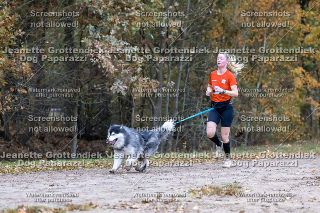 Dog Paparazzi - SD CaniX Championship 2025-312 | Dog Paparazzi Jeanette Grottendiek Fotografie & Videografie - Realisiert mit Pictrs.com